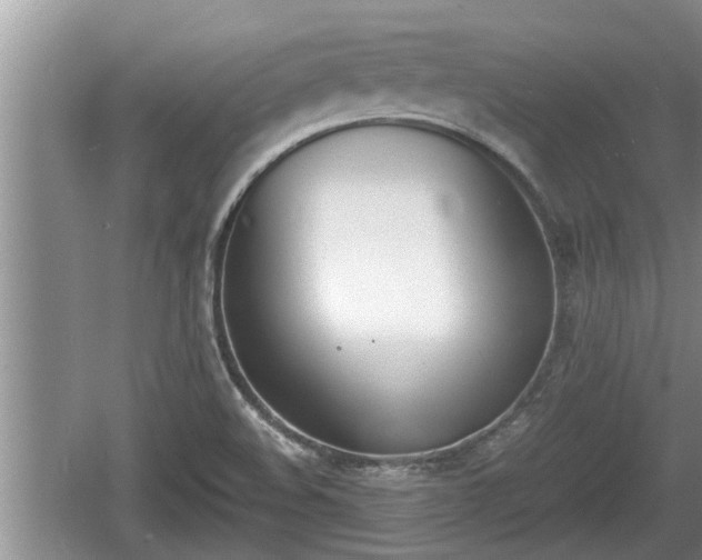 X0000060801508200511171228