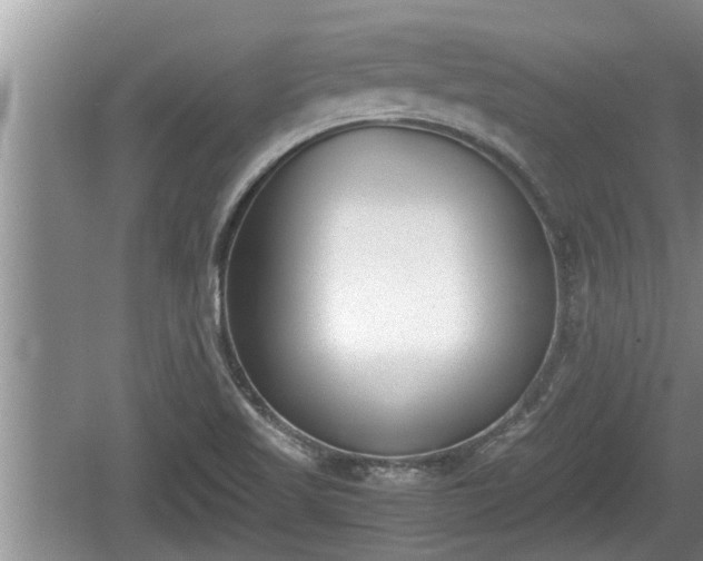 X0000060801509200511171228