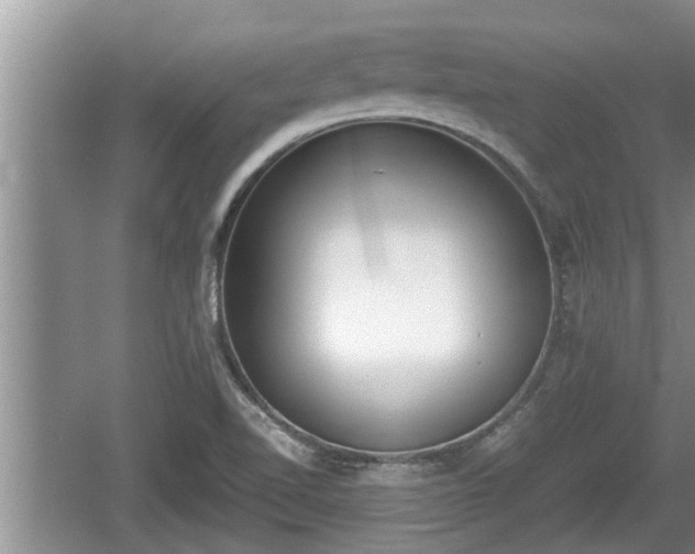 X0000060801510200511171228