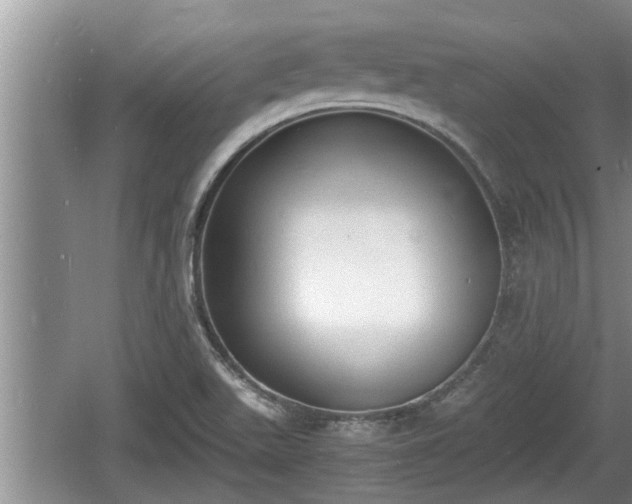 X0000060801511200511171228