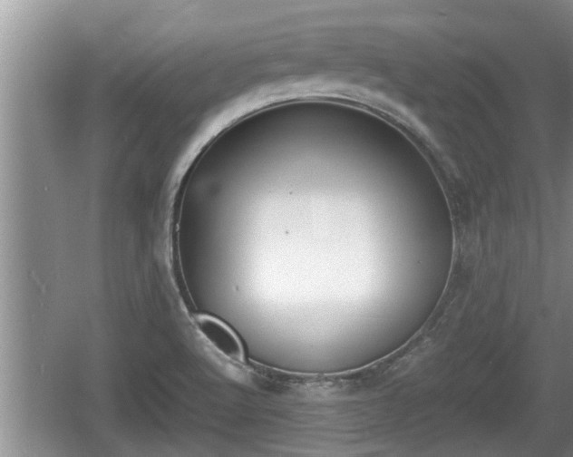 X0000060801512200511171228