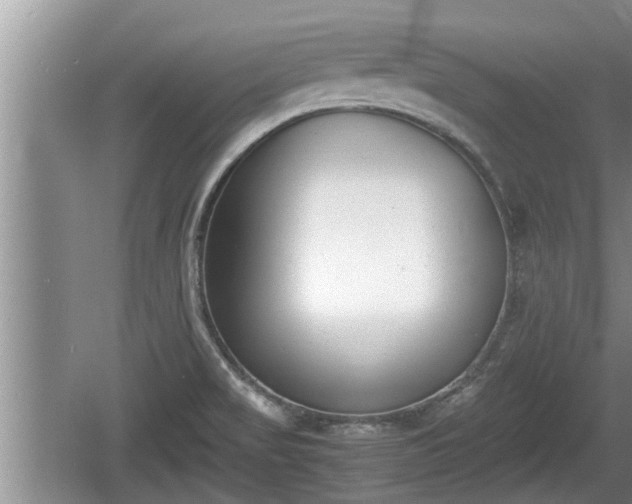 X0000060801517200511171228