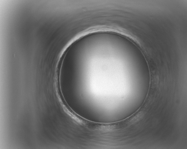 X0000060801518200511171228