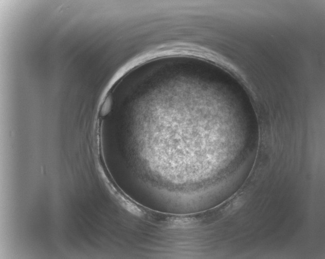 X0000060801522200511171228