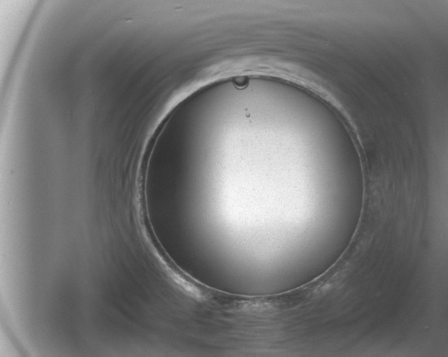 X0000060801525200511171228