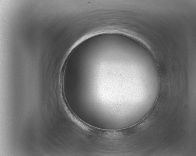 X0000060801526200511171228