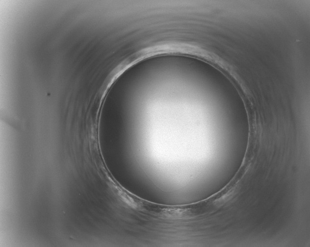 X0000060801529200511171228