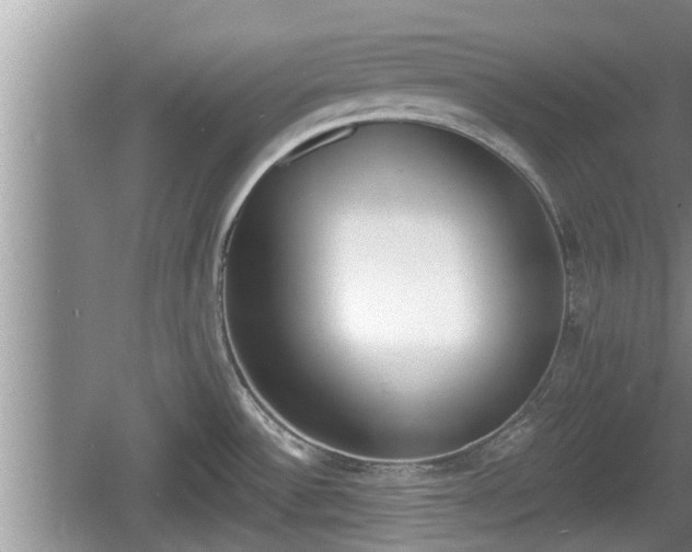 X0000060801532200511171228