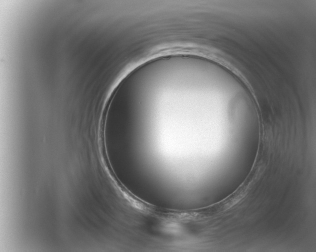 X0000060801533200511171228