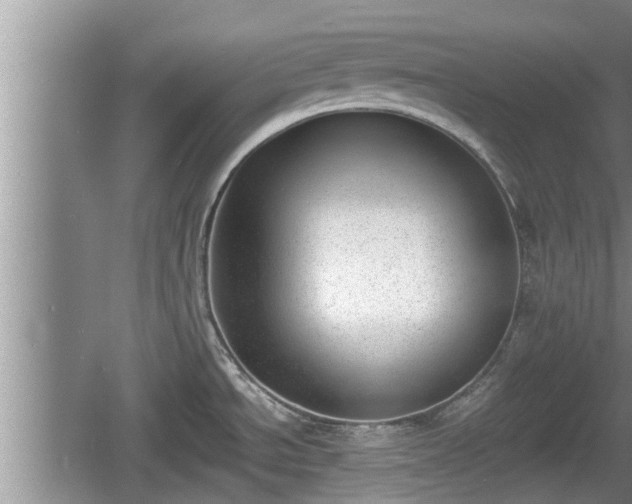 X0000060801534200511171228