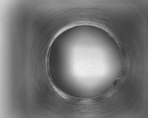 X0000060801535200511171228