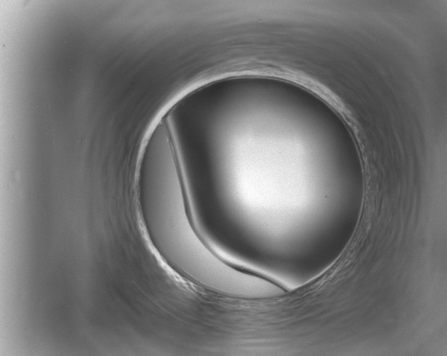 X0000060801536200511171228