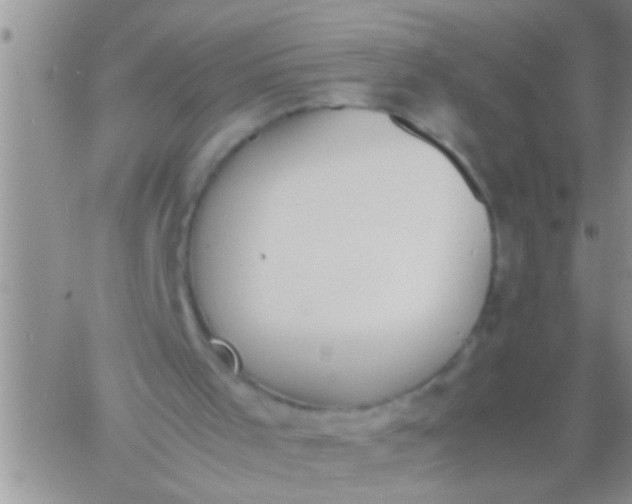 X0000060800001200511241922