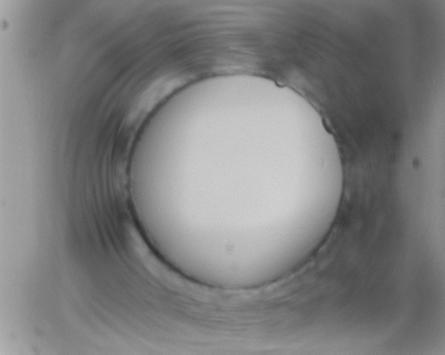 X0000060800002200511241922