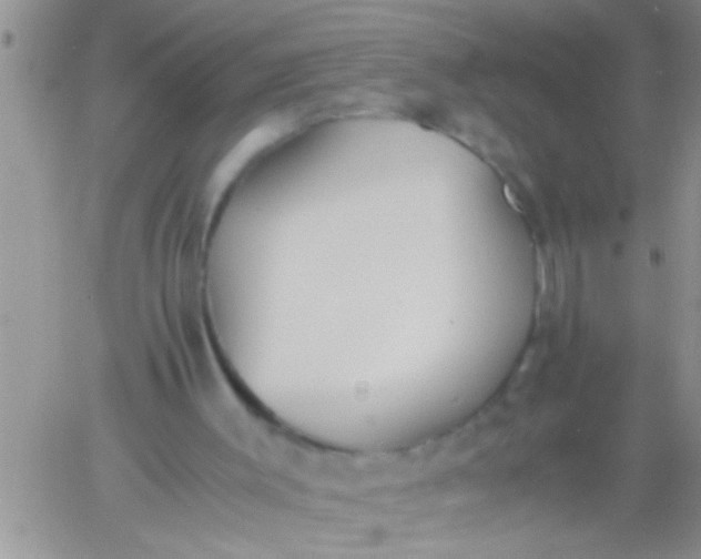 X0000060800003200511241922