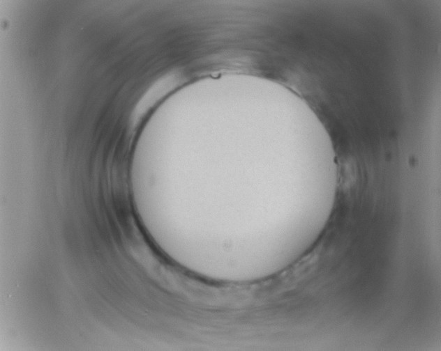 X0000060800004200511241922