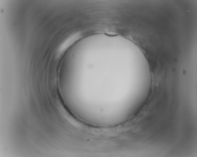 X0000060800005200511241922