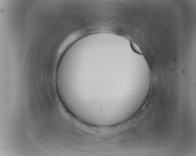 X0000060800006200511241922