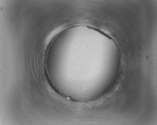 X0000060800007200511241922