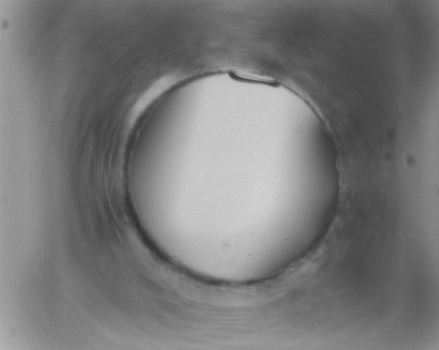 X0000060800008200511241922