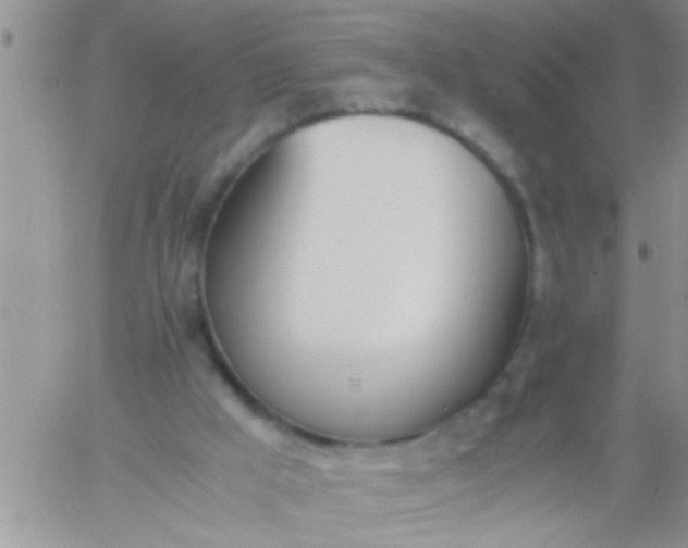 X0000060800009200511241922