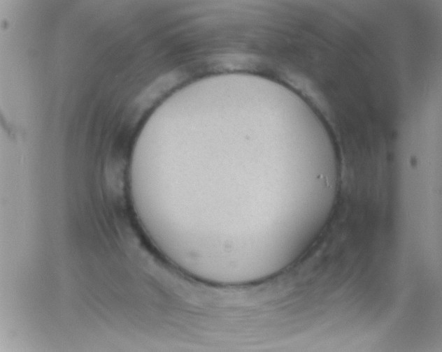 X0000060800010200511241922