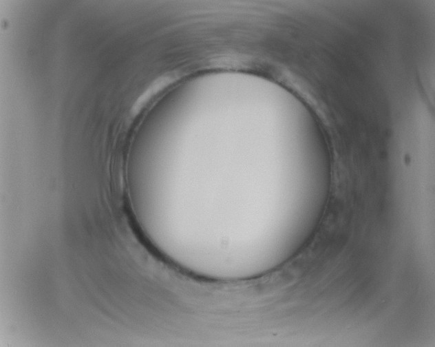 X0000060800011200511241922