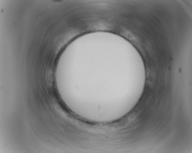 X0000060800012200511241922