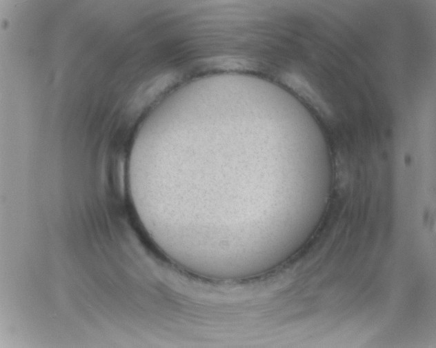 X0000060800014200511241922