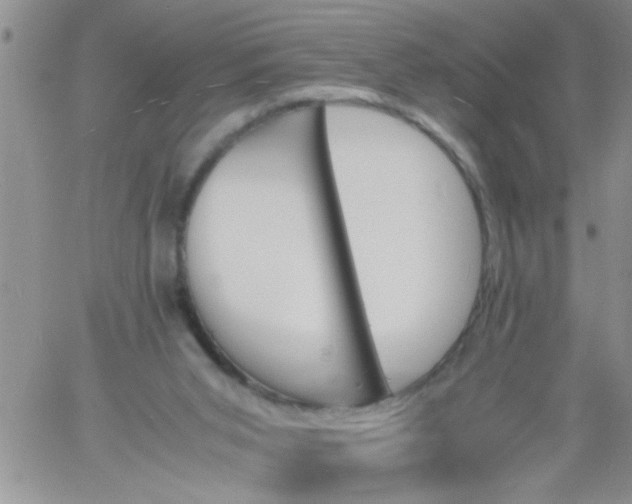 X0000060800015200511241922