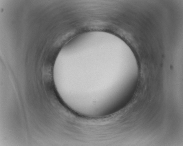 X0000060800017200511241922