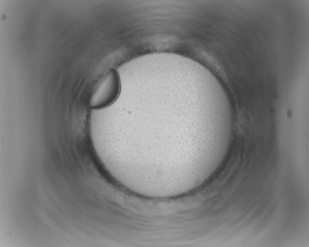 X0000060800018200511241922