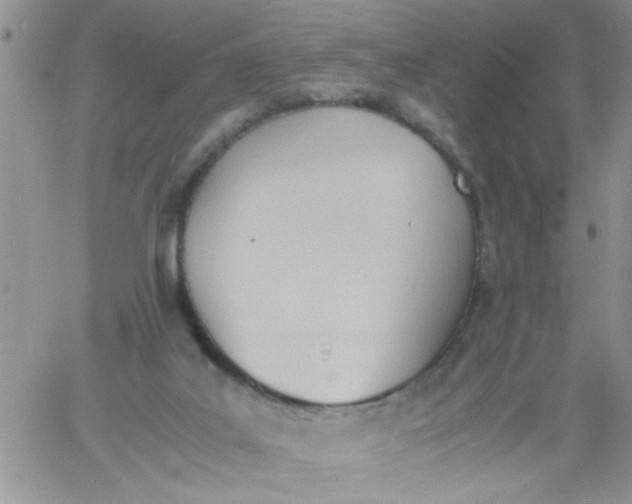 X0000060800019200511241922