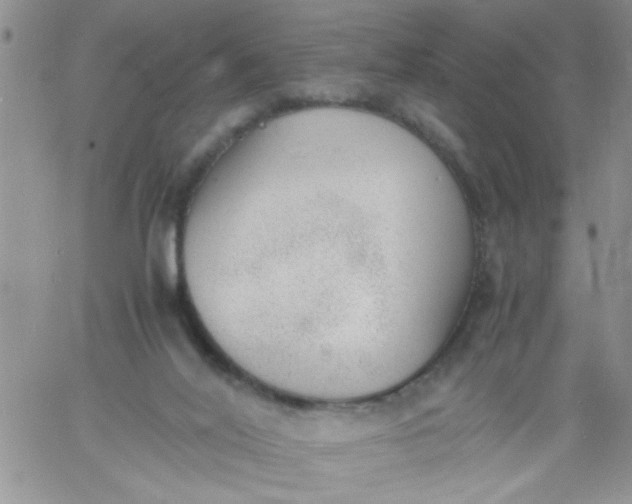 X0000060800020200511241922