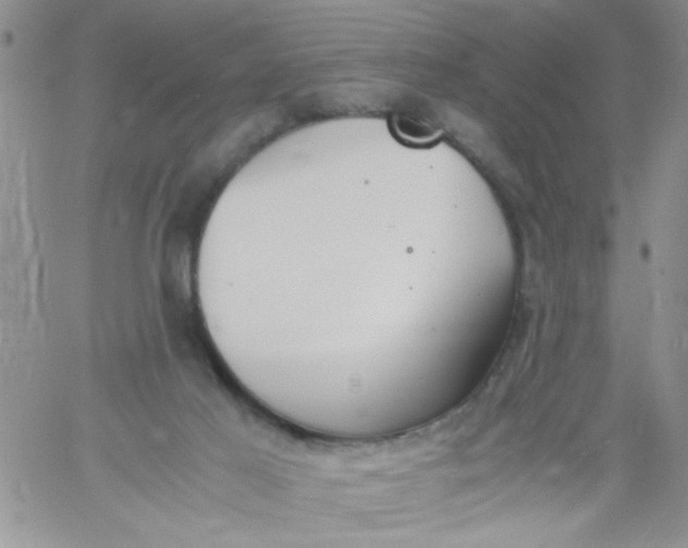 X0000060800021200511241922