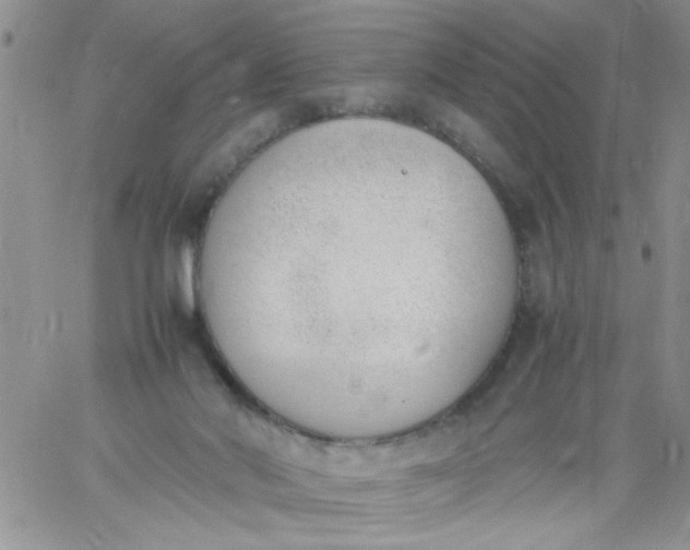 X0000060800022200511241922