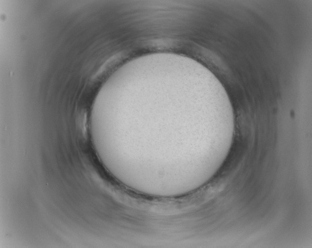 X0000060800024200511241922