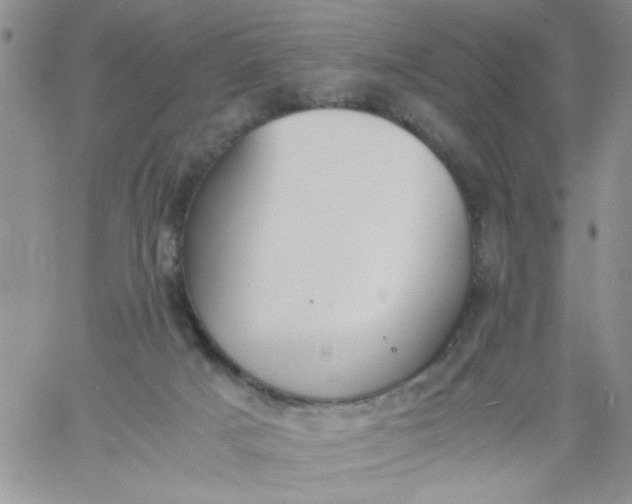 X0000060800025200511241922