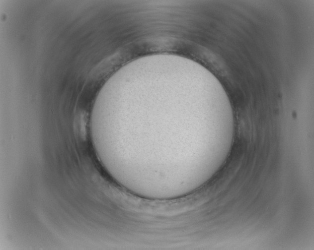 X0000060800026200511241922