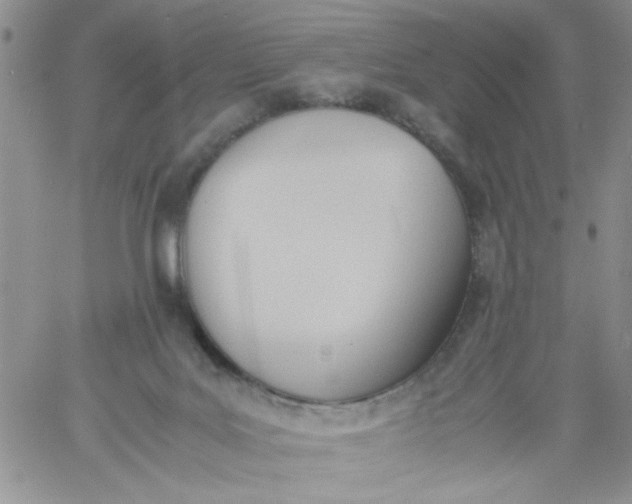 X0000060800027200511241922