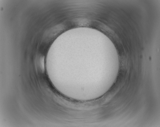 X0000060800028200511241922