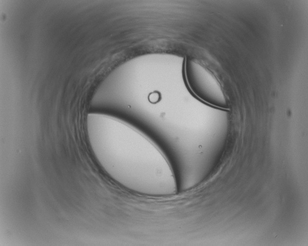 X0000060800029200511241921