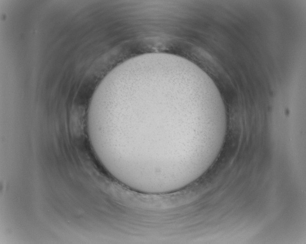 X0000060800030200511241921