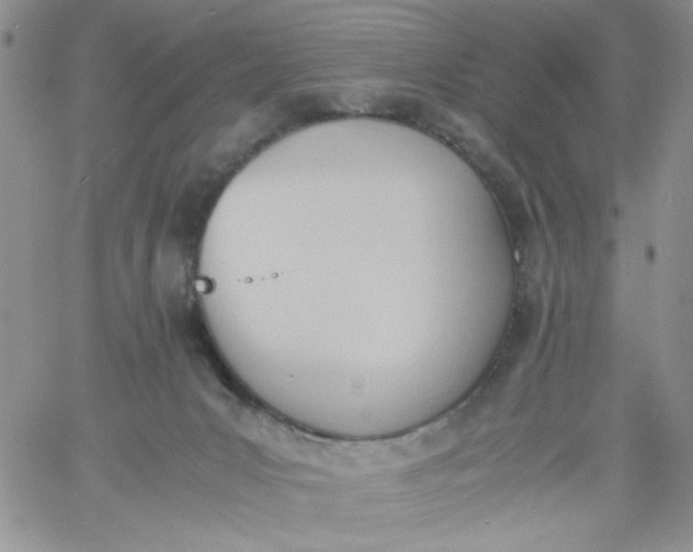 X0000060800031200511241921