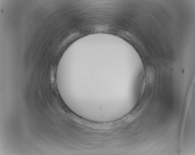 X0000060800032200511241921