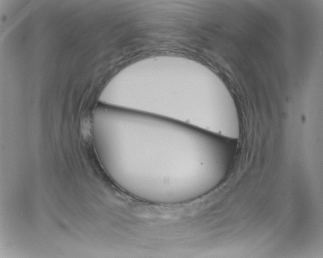 X0000060800033200511241921