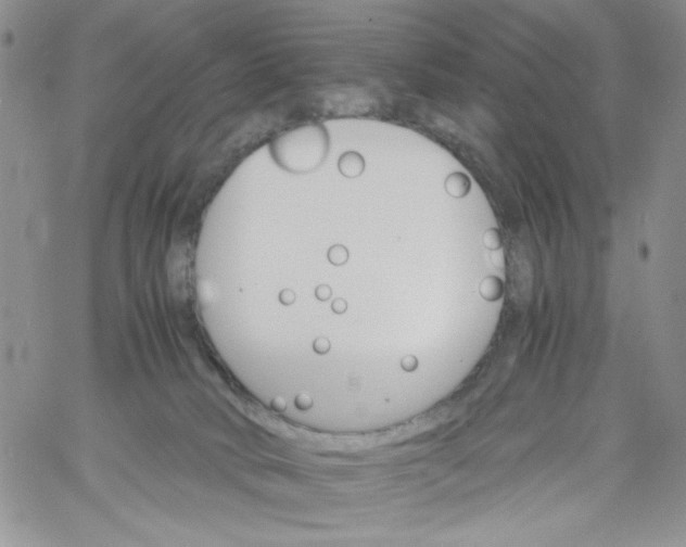 X0000060800034200511241921