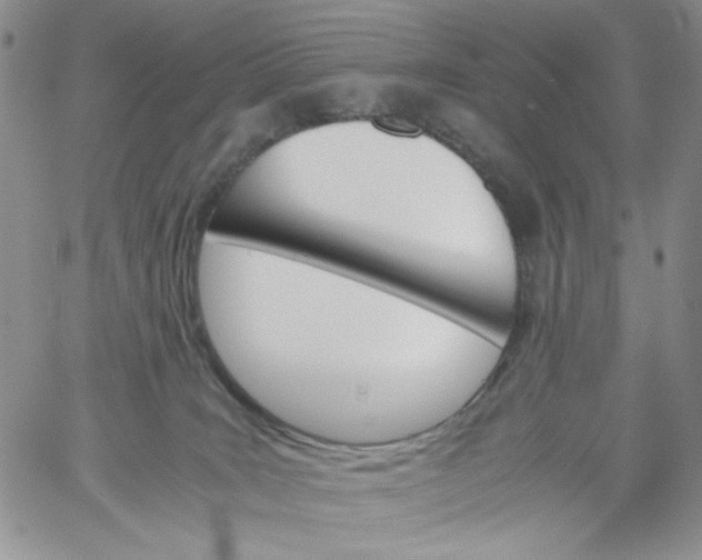 X0000060800035200511241921