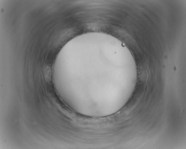 X0000060800036200511241921