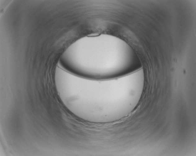 X0000060800037200511241921